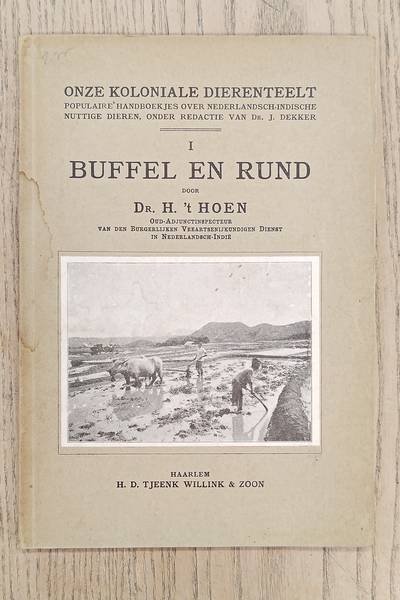 'T HOEN, H. - Buffel en rund. Onze koloniale dierenteelt.