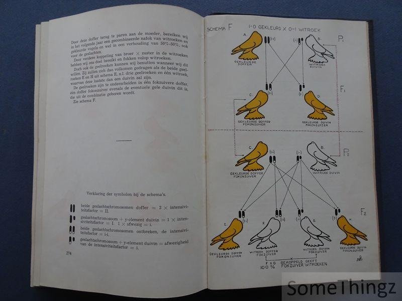 C.A.M. Spruijt. - Praktische duiventeelt. Vademecum voor de liefhebber. Met 40 illustraties en 80 tekeningen door Joh. Lentink.