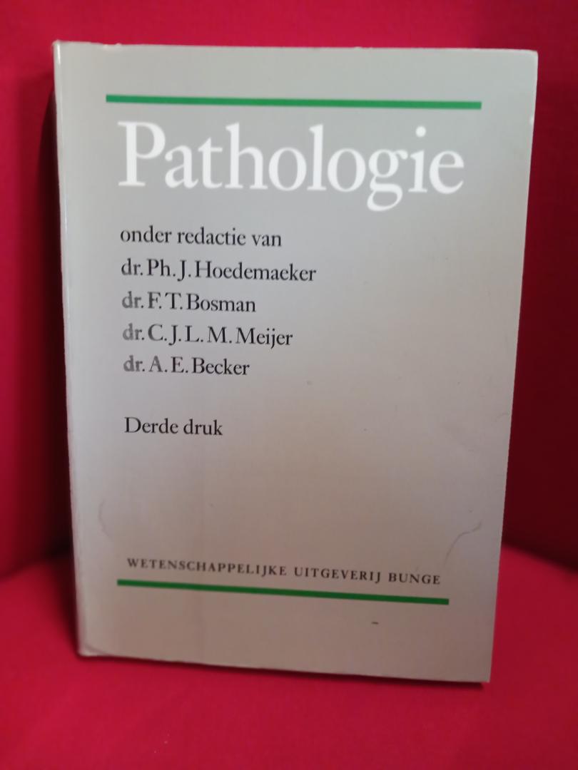 Hoedemaeker, dr. Ph.J., e.a. (red.) - Pathologie