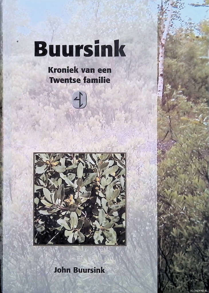 Buursink, John - Buursink: kroniek van een Twentse familie