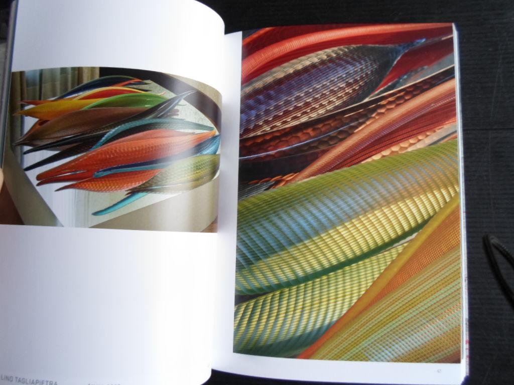 Schoon, Peter, voorwoord - Glassfever, Hedendaagse kunst in glas