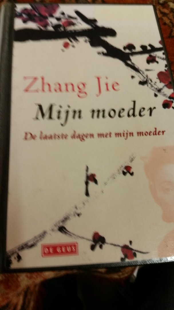 Jie Zhang - Mijn moeder  de laatste dagen met mijn moeder