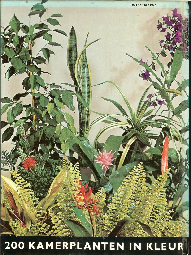 Kromdijk, G. .. de kleuren foto's  zijn van Rein Heij te  Wageningen - Het nieuwe kamer plantenboek  .. 200 Planten in kleur