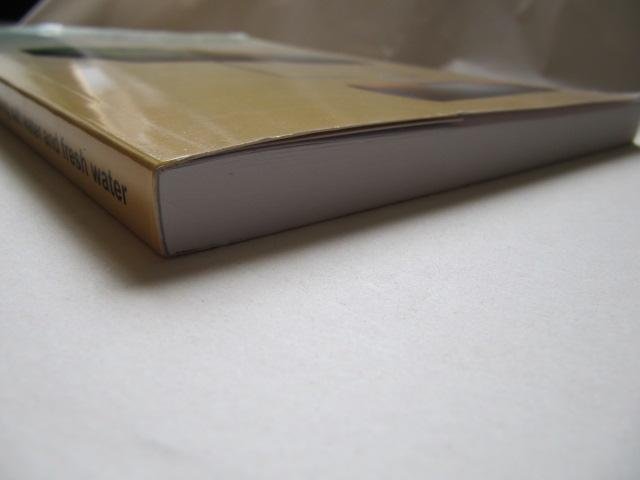 David Vermaas - Energy generation from mixing salt water and fresh water