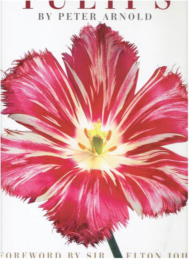 ARNOLD, Peter - Peter Arnold - Tulips. [Foreword by Sir Elton John].