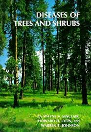 Sinclair / Lyon / Johnson - DISEASES OF TREES AND SHRUBS