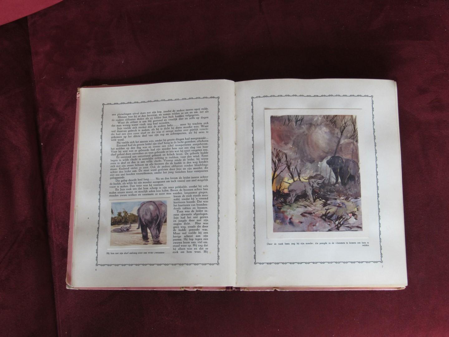 Wermeskerken, Henri van; Piet van der Hem (illustraties) - Jojo, de Sumatraan. De geschiedenis van een olifant