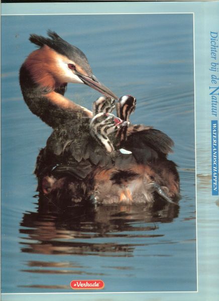 Ewijk van Tom .. Lucienne van Ek en Toon Fey veel mooie tekeningen en foto 's - Dichter bij de natuur  .. Waterlandschappen .. Land en rivieren .. plassen, meren en fluisterend riet, Weiden en slootjes .. geheimen van venen en onland en het nieuwe land