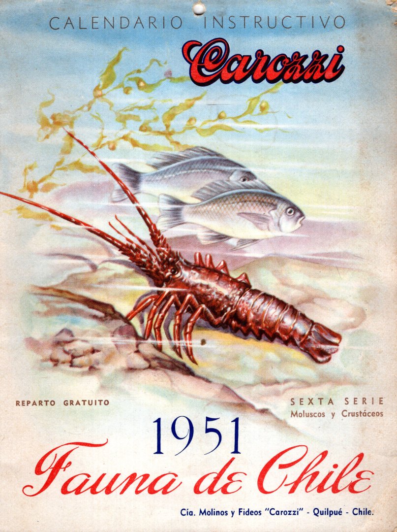 [Carozzi]. - Carozzi Calendro Instructivo 1951 : Fauna de Chile.