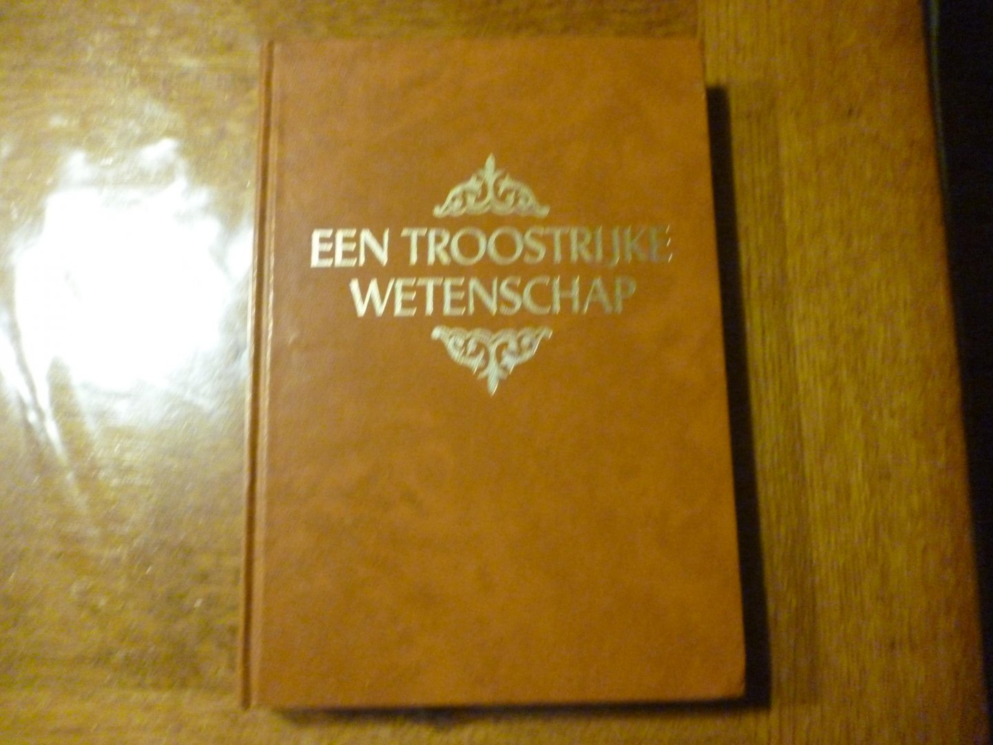 dam van chr. - een troostrijke wetenschap