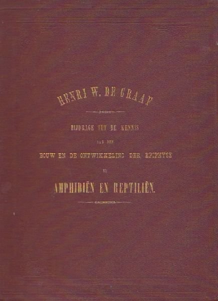 Graaf, Henri W. de - Bijdrage tot de kennis van den bouw en de ontwikkeling der epiphyse bij amphibien en reptilien (proefschrift)