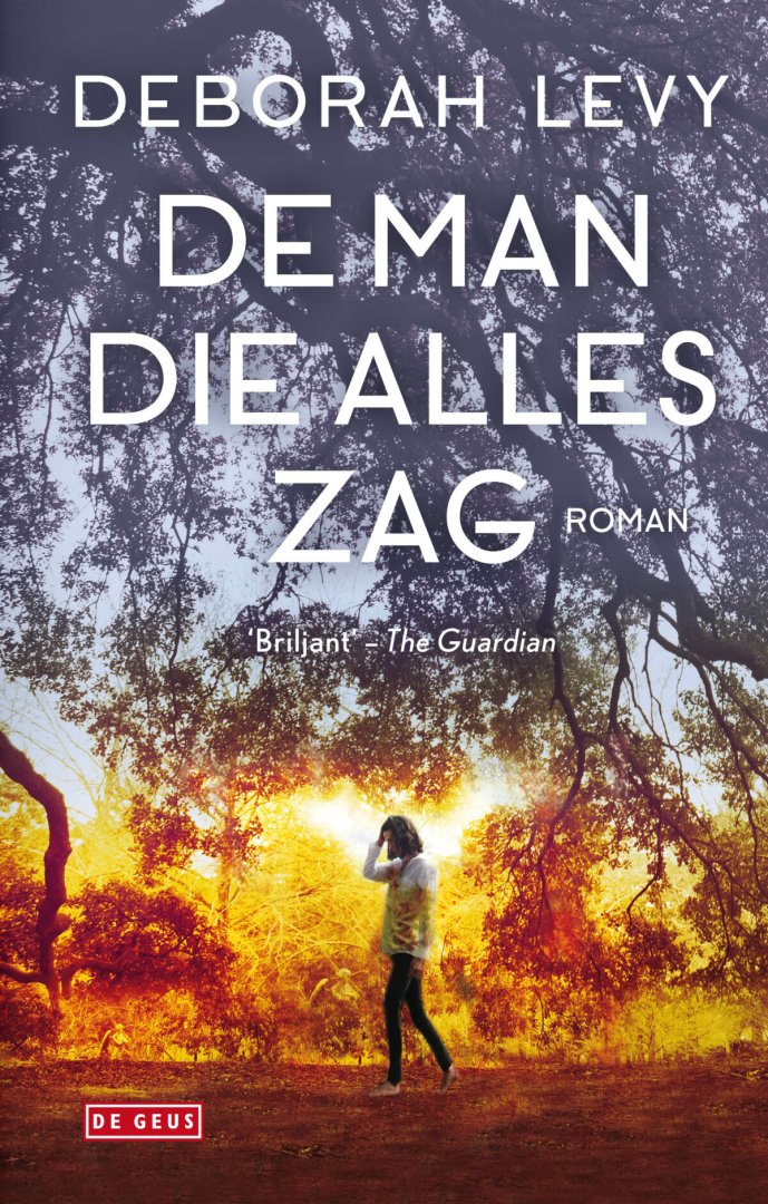 Deborah Levy - De man die alles zag