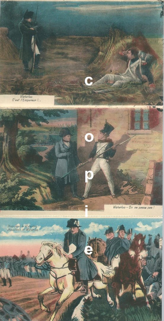 Anoniem - Souvenir de Waterloo : tableaux : 10 cartes-vues choisies à déplier : couleurs