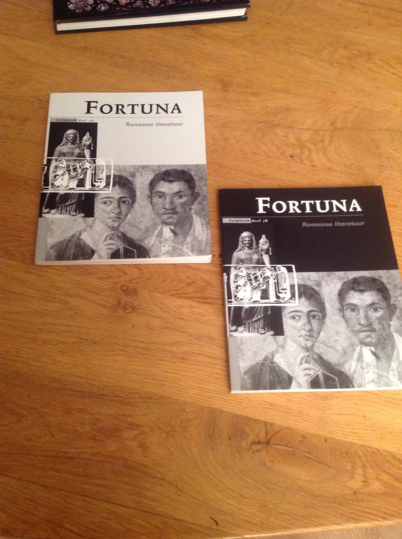 Jans, E. - Fortuna set 3A + 3B Hulpboek
