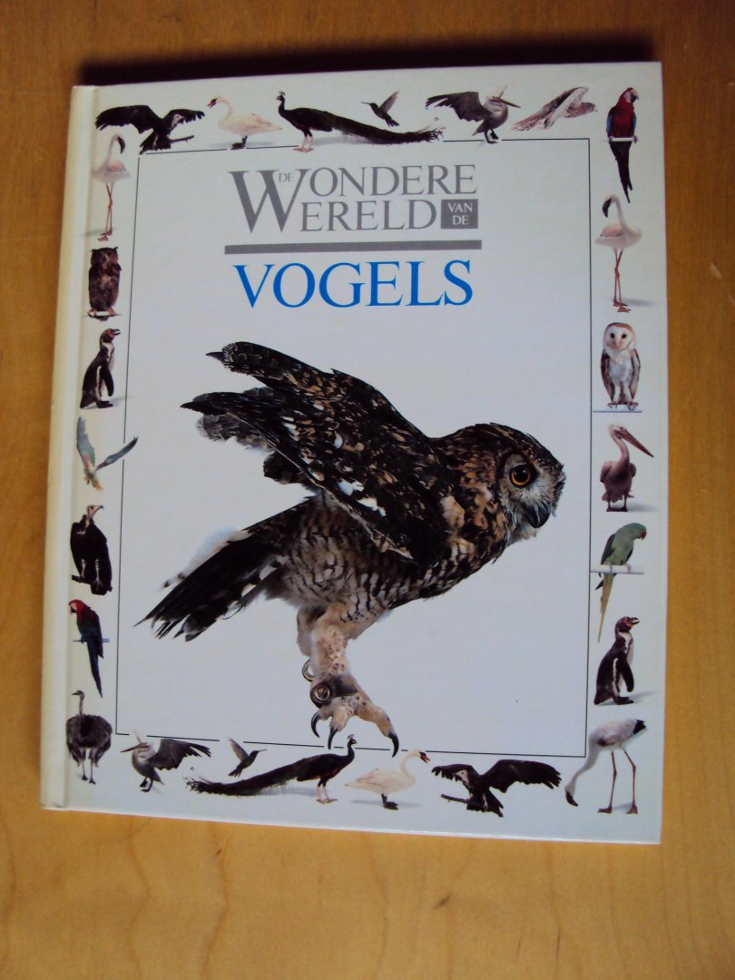 Parsons, Alexandra (tekst) en Jerry Young (foto's) - De wondere wereld van de vogels