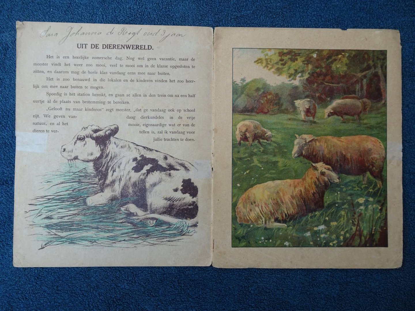 N.n.. - Uit de Dierenwereld.