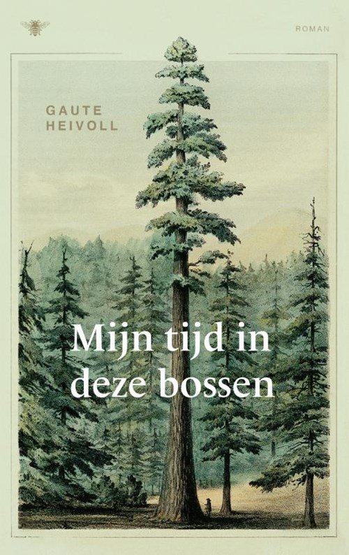 Gaute Heivoll - Mijn tijd in deze bossen