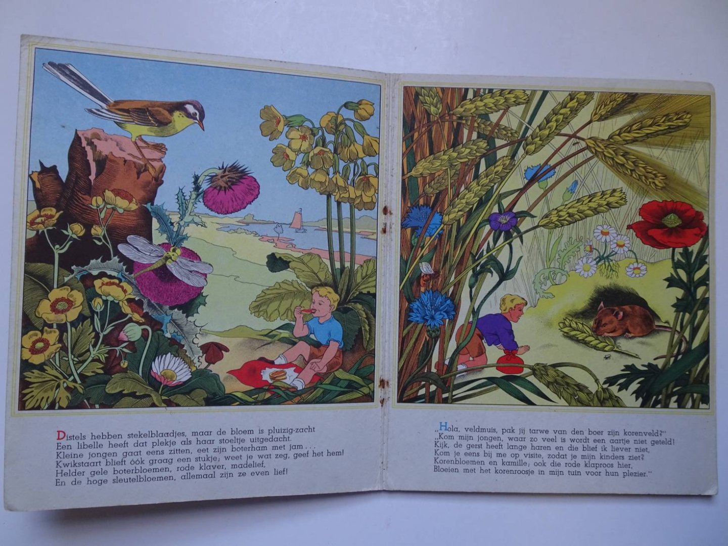 N.n.. - De wijde wereld in...Natuurkundig Sprookjesboek.