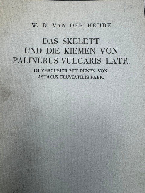 HEIJDE, W.D. VAN DER, - Das Skelett und die Kiemen von Palinurus Vulgaris Latr. Im vergleich met denen von Astacus Fluviatilis Fabr.