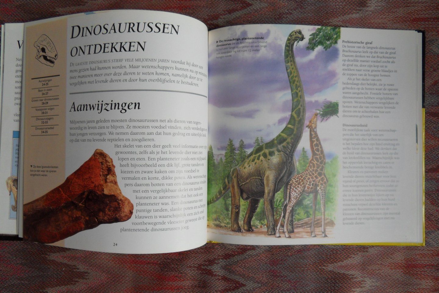 Johnson, Jinny. - De prehistorie verklaard. - Een beginnersboek over de wereld van de dinosaurussen.