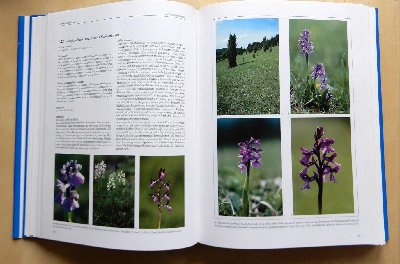 Presser, Helmut - Orchideen Die Orchideen Mitteleuropas und der Alpen