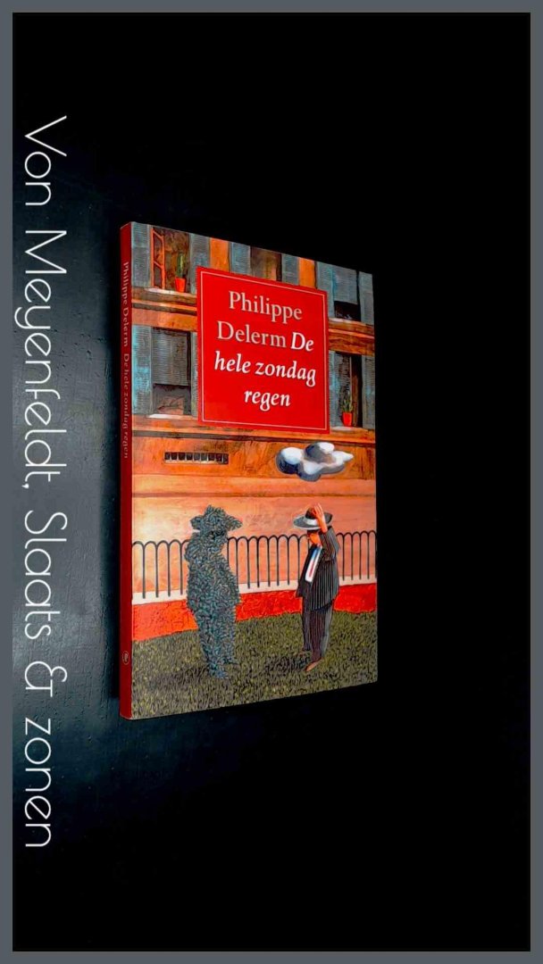 Delerm, Philippe - De hele zondag regen