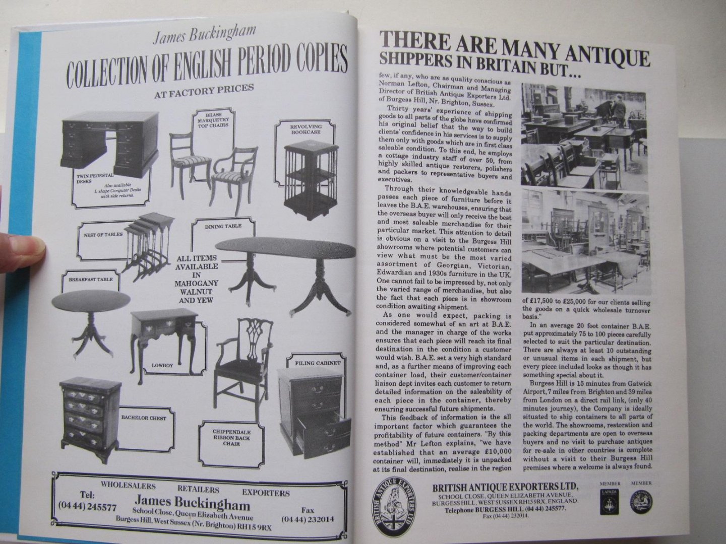 Tony Curtis - The Lyle-official review Antiques Price Guide 1993