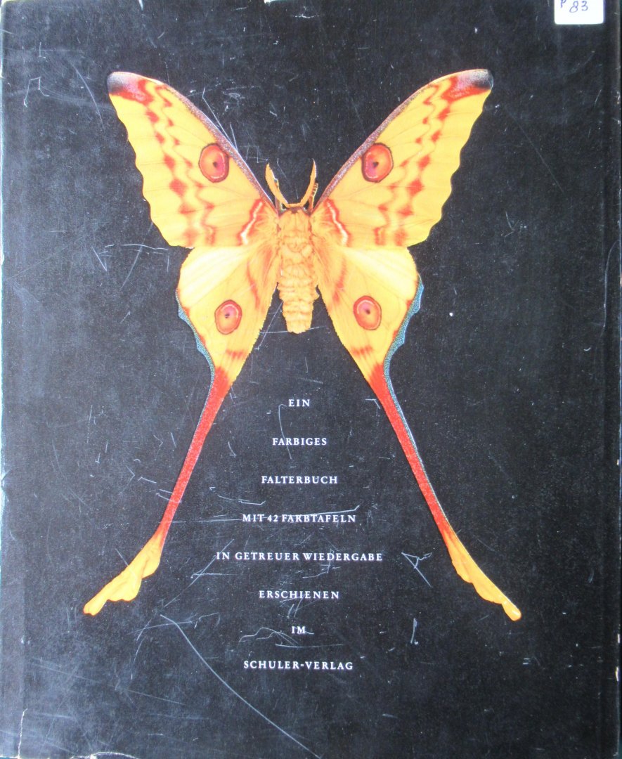  - Fliegende Kleinodien. ein Farbiges Falterbuch