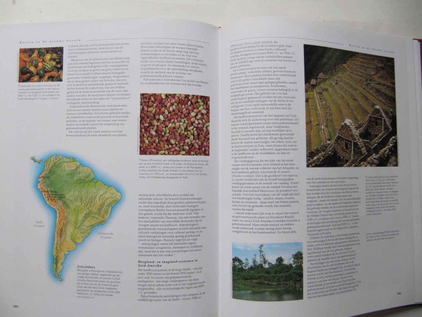 G. Burenhult - De eerste mens - de geschiedenis en ontwikkeling van de mensheid tot 2000 v. C.