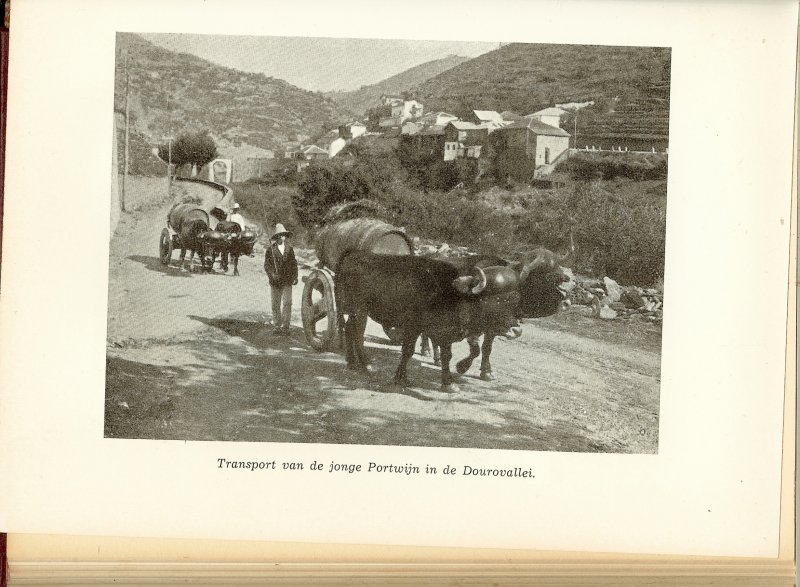 Keuls, J.P.M.  .. Oud Nederlands vice-consul te Bordeaux - Het boek van de wijn.