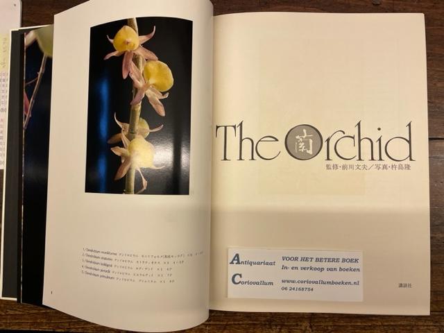 Kijima, Takashi - The Orchid - Miracle of Life and Beauty