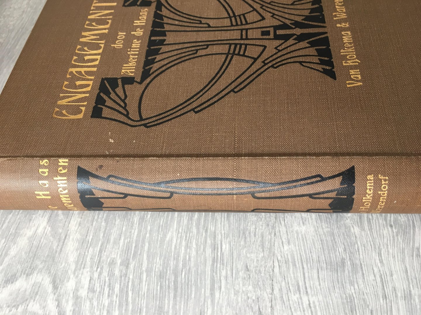 Albertine de Haas - Engagementen door Albertine de Haas