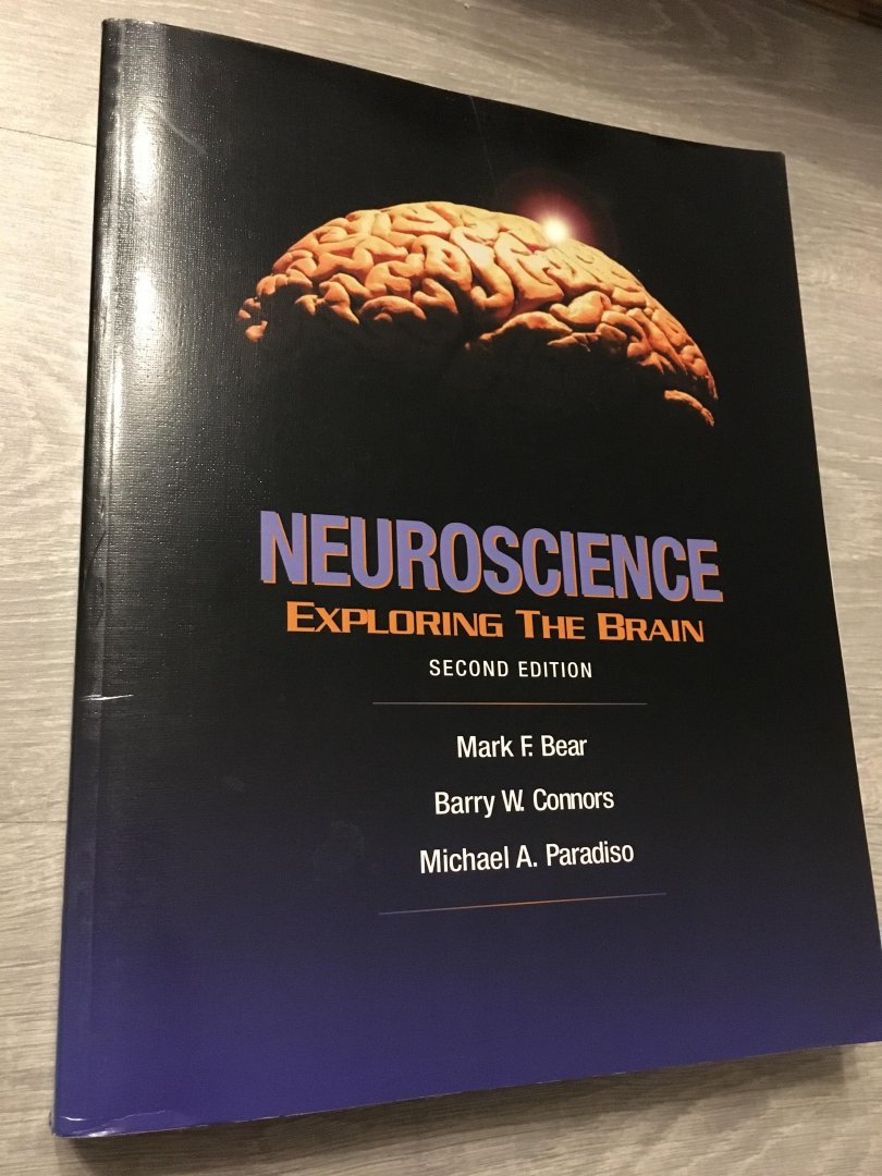 Mark Bear, Barry Connors, Michael Paradiso - Neuroscience, exploring the brain