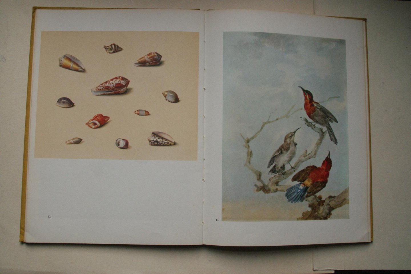 Bol, L.J.(directeur Dordts Museum) - Bekoring Van het Kleine  stillevens met insecten, vogels en planten