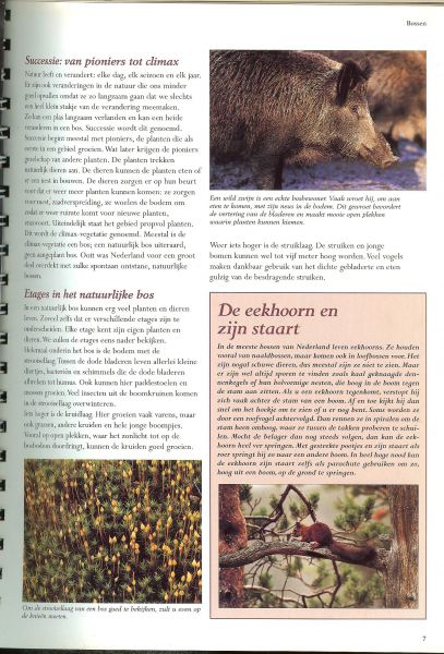 Hoek, Willeke van den van Buro Kloeg en ANWB - Beleef de natuur in Nederland. In elf karakteristieke landschappen en 30 bijzondere wandel en fiets routes. 400 planten en dieren met prachtige tekeningen en foto's