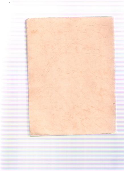 ubaghs, huib - de bokkenrijders in het land van valkenburg