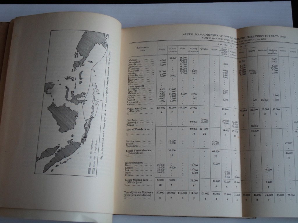 Bijhouwer, A.P.C. - Een bijdrage tot de kennis omtrent het bloeien en het vruchtdragende vermogen van de mangga [Mangifera Indica L.]