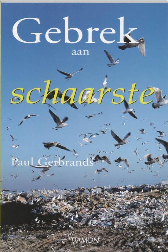 Paul Gerbrands - Gebrek Aan Schaarste