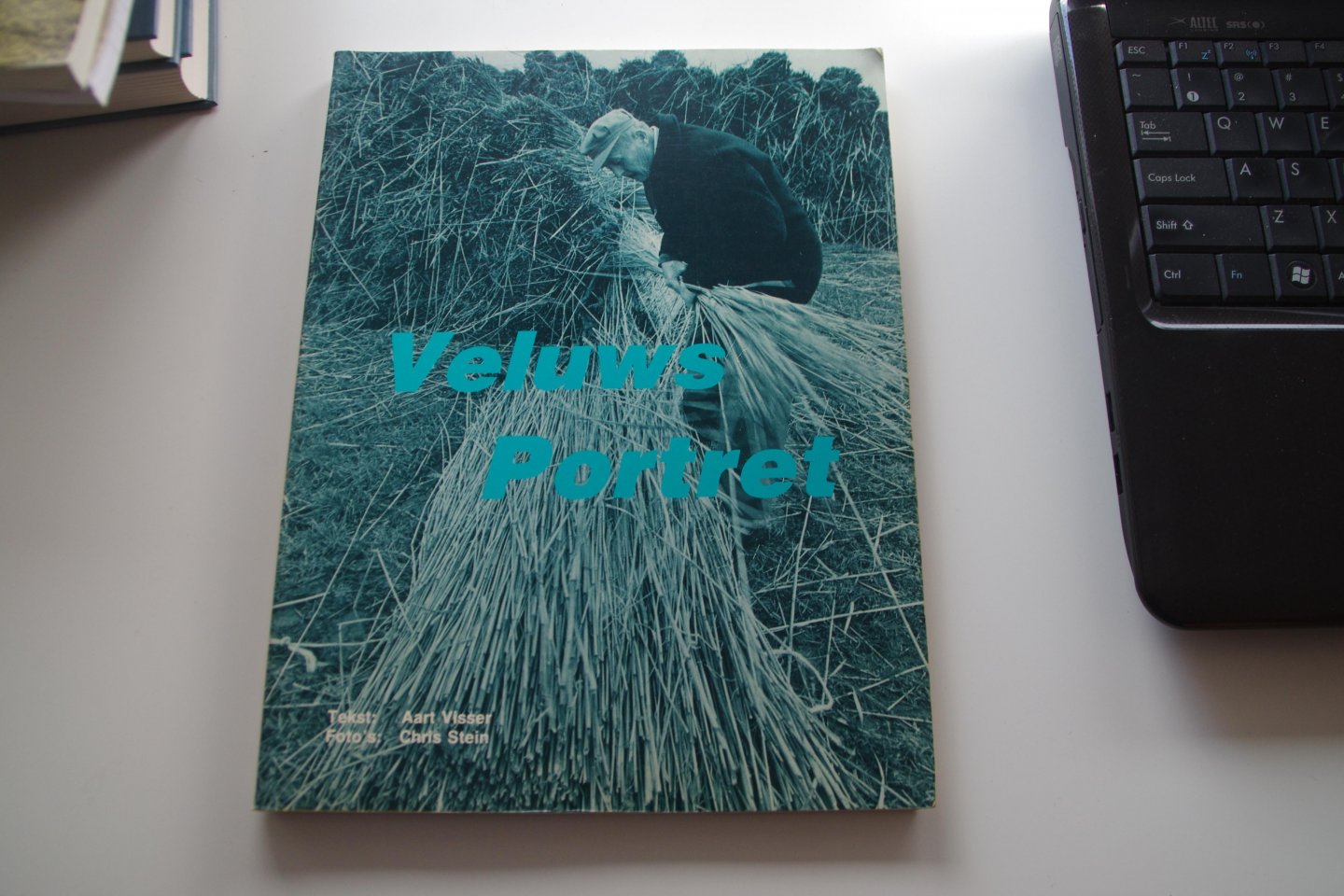 Visser, A. - Veluws portret / druk 1