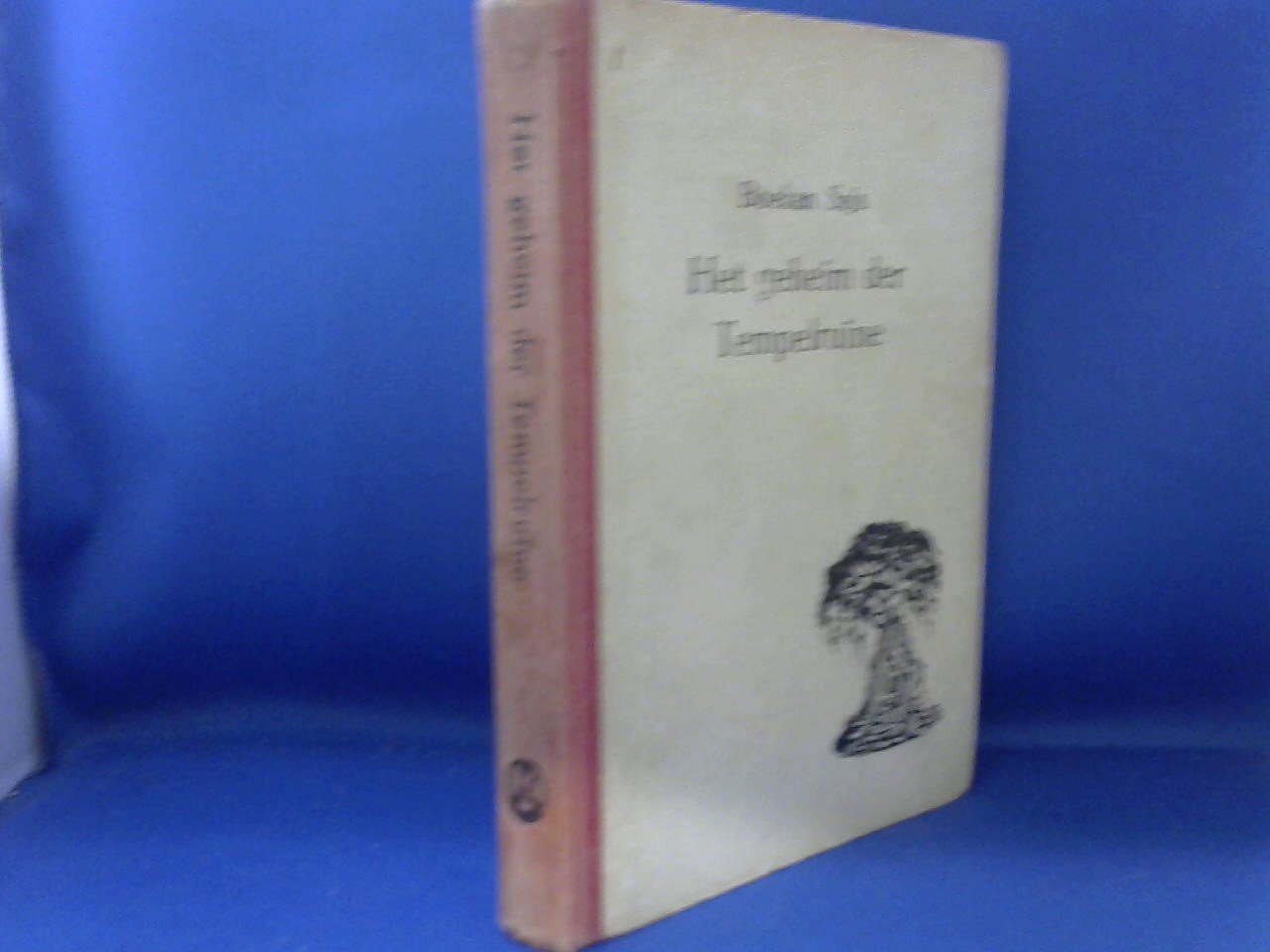 Boekan Saja - Het geheim van de Tempelruïne / Indische detective roman