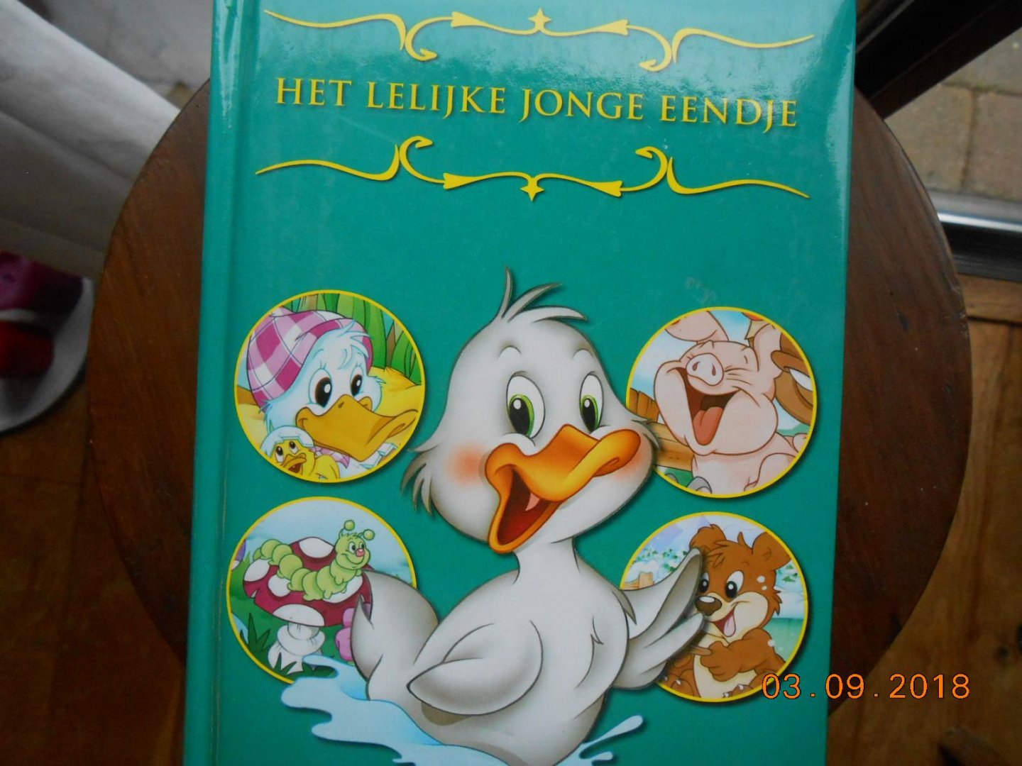  - Het lelijke jonge eendje