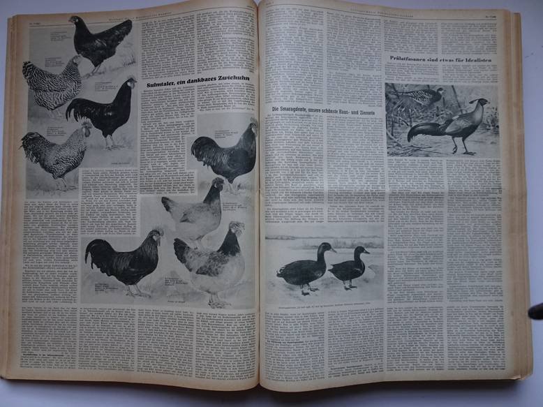  - Geflügel - Börse. Westdeutsche Ausgabe. Organ des Bundes deutscher Rassegeflügelzüchter. 1962, 1963, 1964.