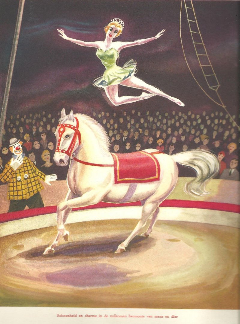 Doveren, J. van ; Thomas, Fred - De bonte droom van het circus