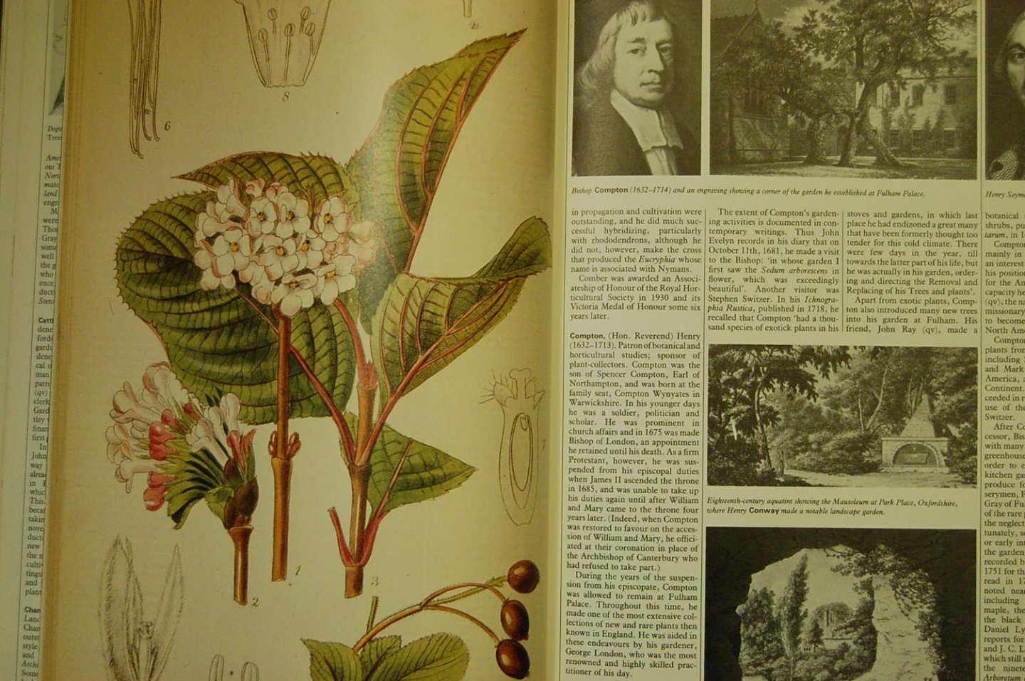 Hadfield, Miles;   Harling, Robert & Highton, Leonie - British Gardeners
