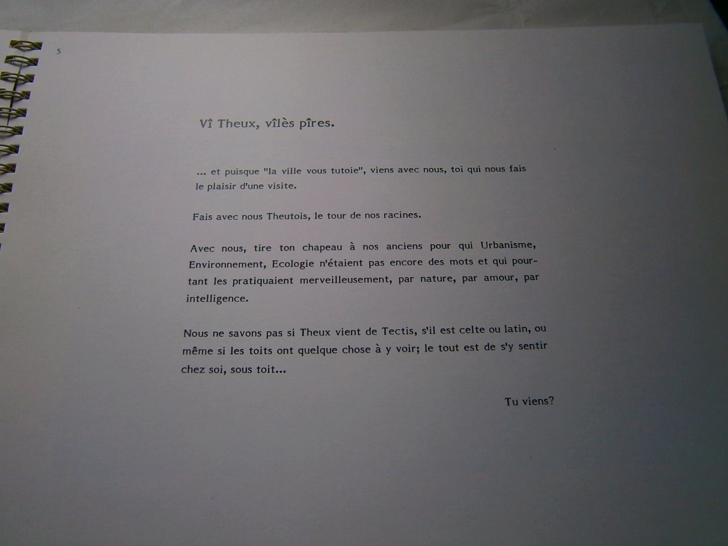 Bodart, J. - Vi theux viles pires, Vî theux vîlès pîres