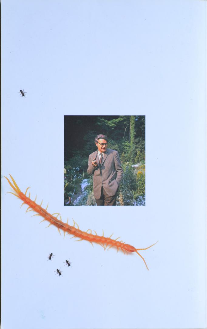 Bomans, Godfried - Erik of het Klein Insectenboek (57e druk, paperback)