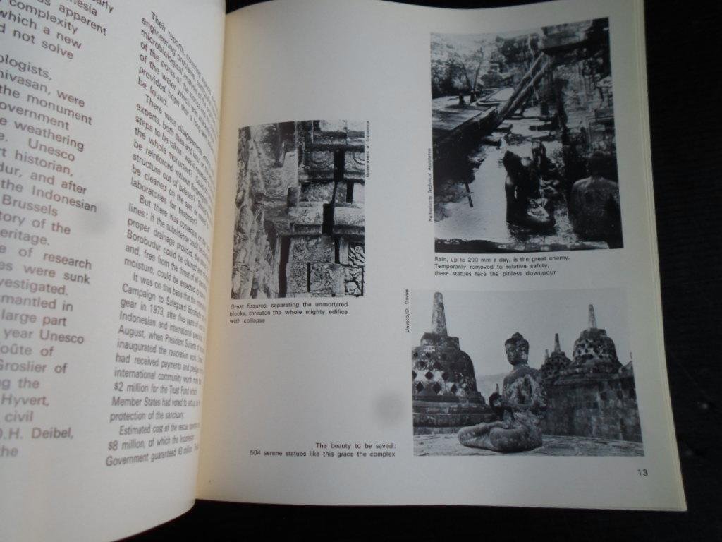  - Borobudur, Beauty in peril