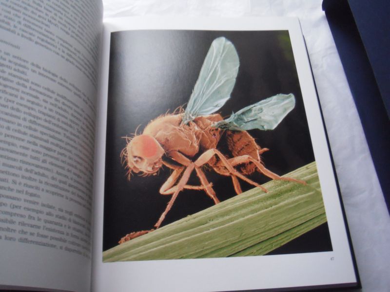 Agazzi Evandro e.a. - La Nuova Scienza