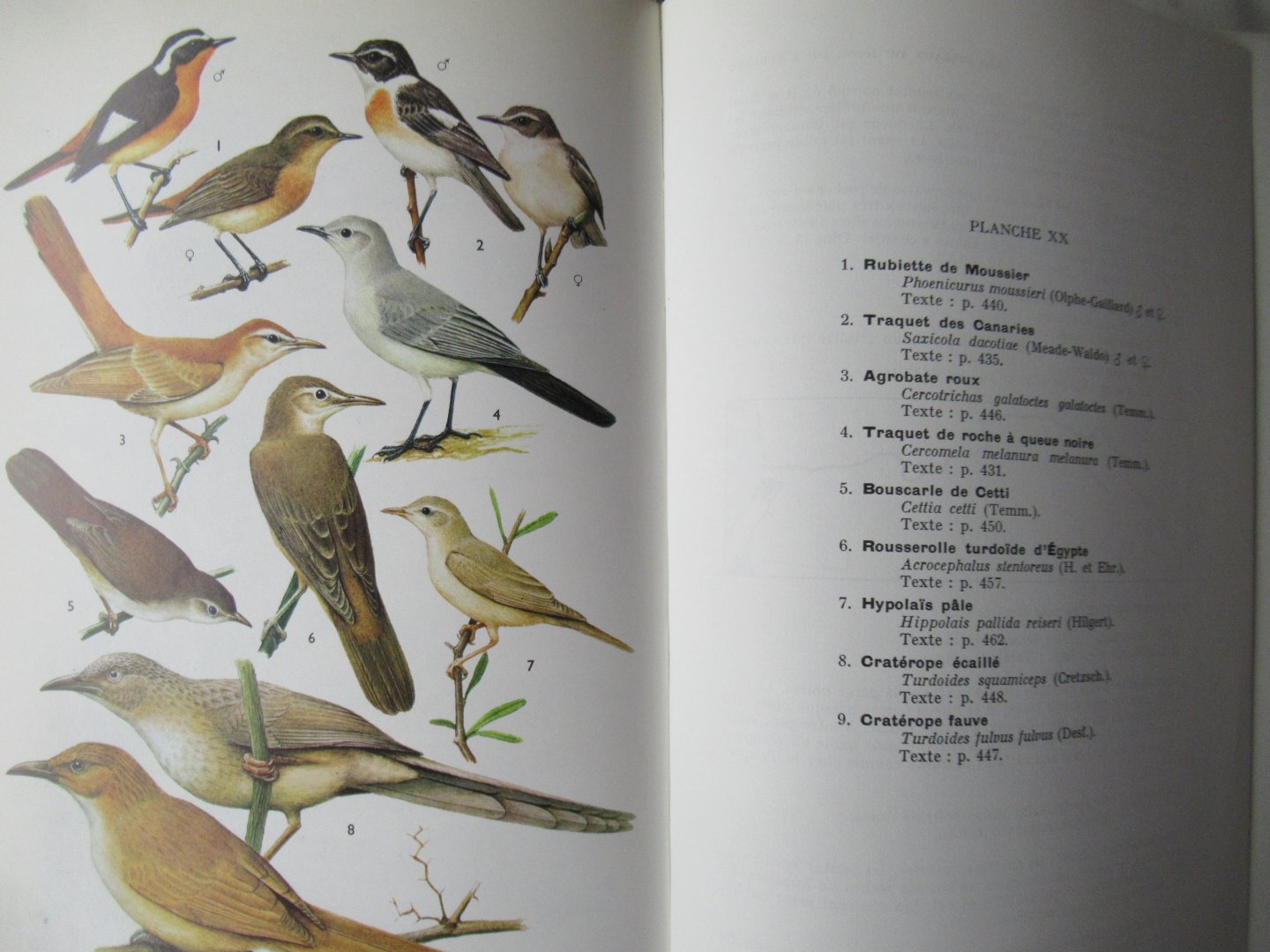 R.D. Etchécopar - F. Huë - Les Oiseaux du Nord de l' Afrique de la Mer Rouge aux Canaries