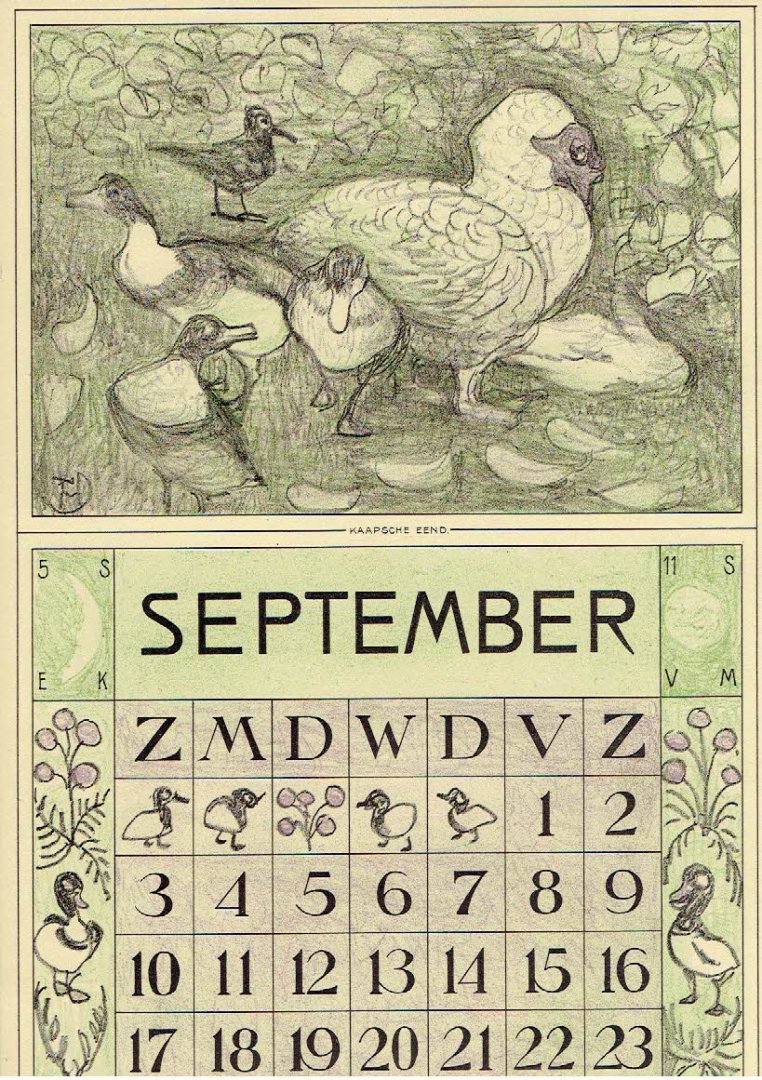 HOYTEMA, Theo van [HOIJTEMA] - Kalenderblad T. v. Hoytema - Kaapsche eend - september  - kalenderjaar 1915.